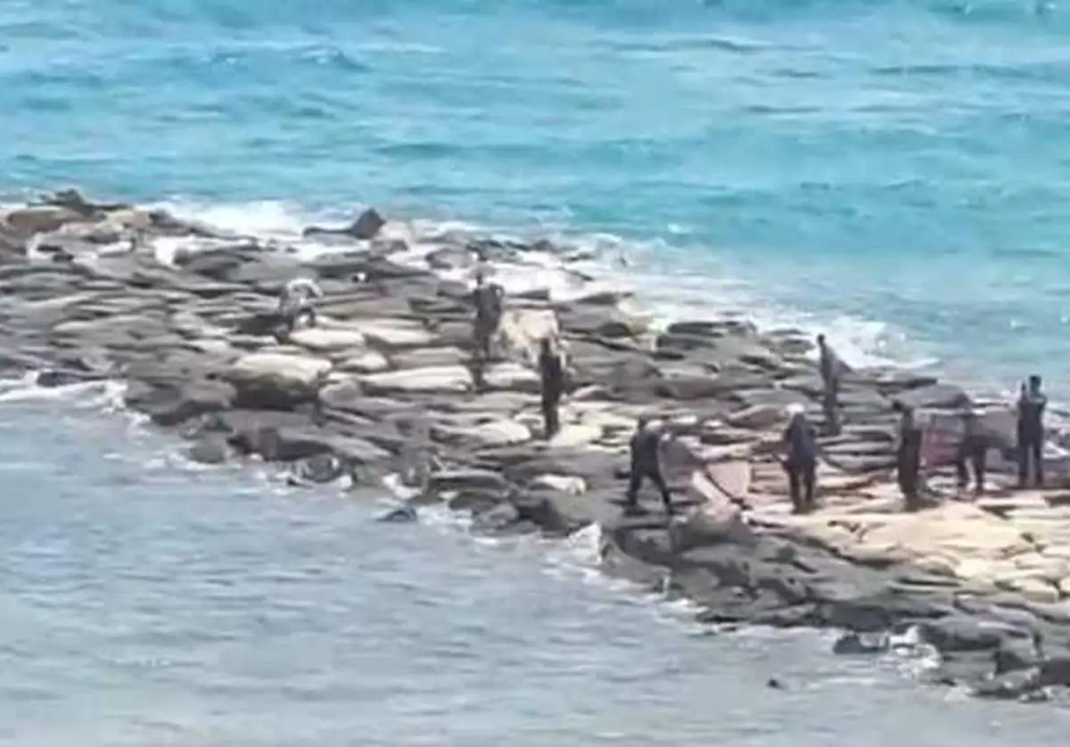 El momento en el que agentes de la Guardia Civil abaten al animal en una playa de El Campello.