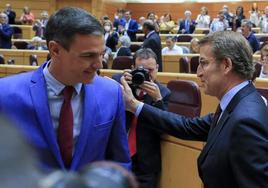 Pedro Sánchez y Alberto Núñez Feijóo, en el Senado