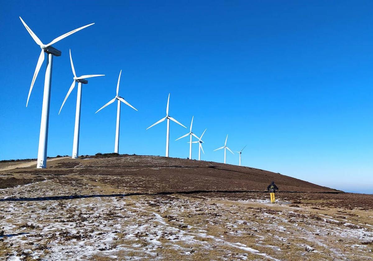Bruselas pide eliminar el tope a las energías nuclear y renovables puesto en marcha por la crisis de precios
