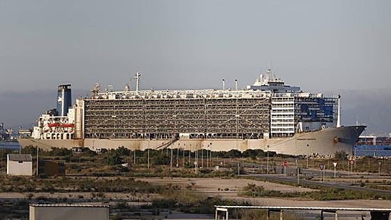 El barco con 16.000 vacas abandona San Roque tras terminar el registro