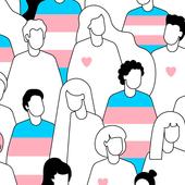 Verdades, mentiras y aclaraciones sobre la ley trans