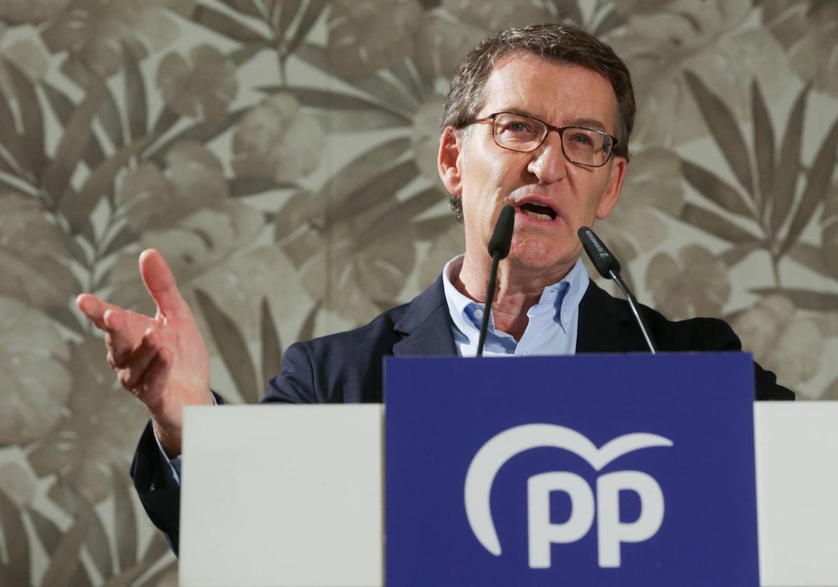 Alberto Núñez Feijóo, presidente del PP