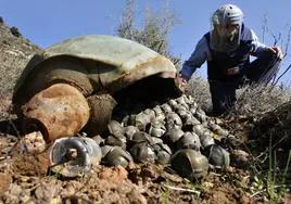 Las bombas de racimo contienen peligrosas submuniciones en su interior.