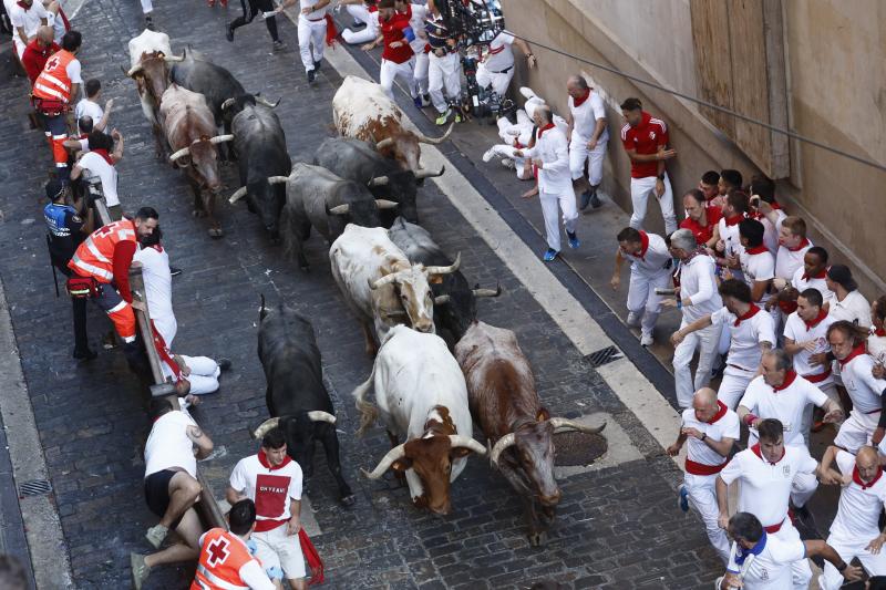 Los toros de José Escolar en la cuesta de Santo Domingo.