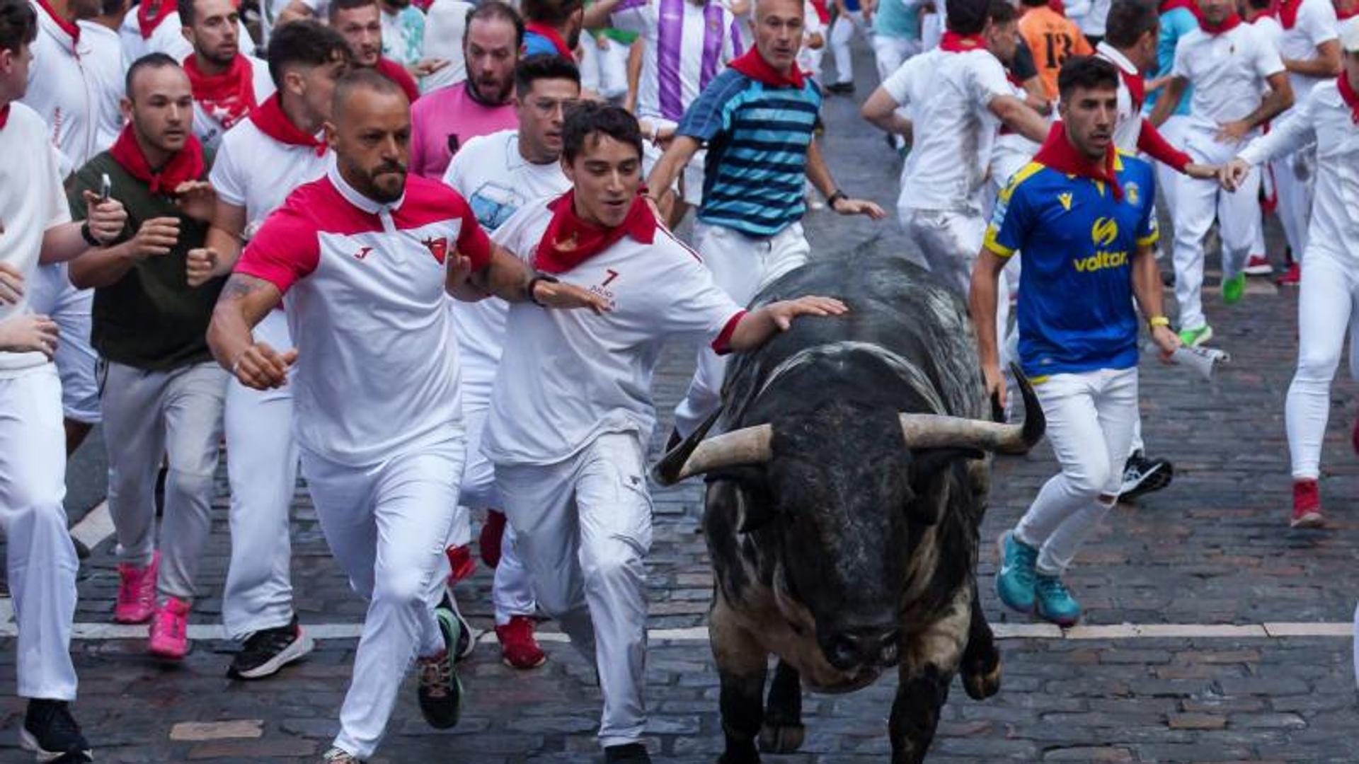 Los Fuente Ymbro suelen ser rápidos y limpios