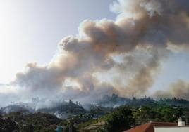 Imagen del incendio de La Palma.