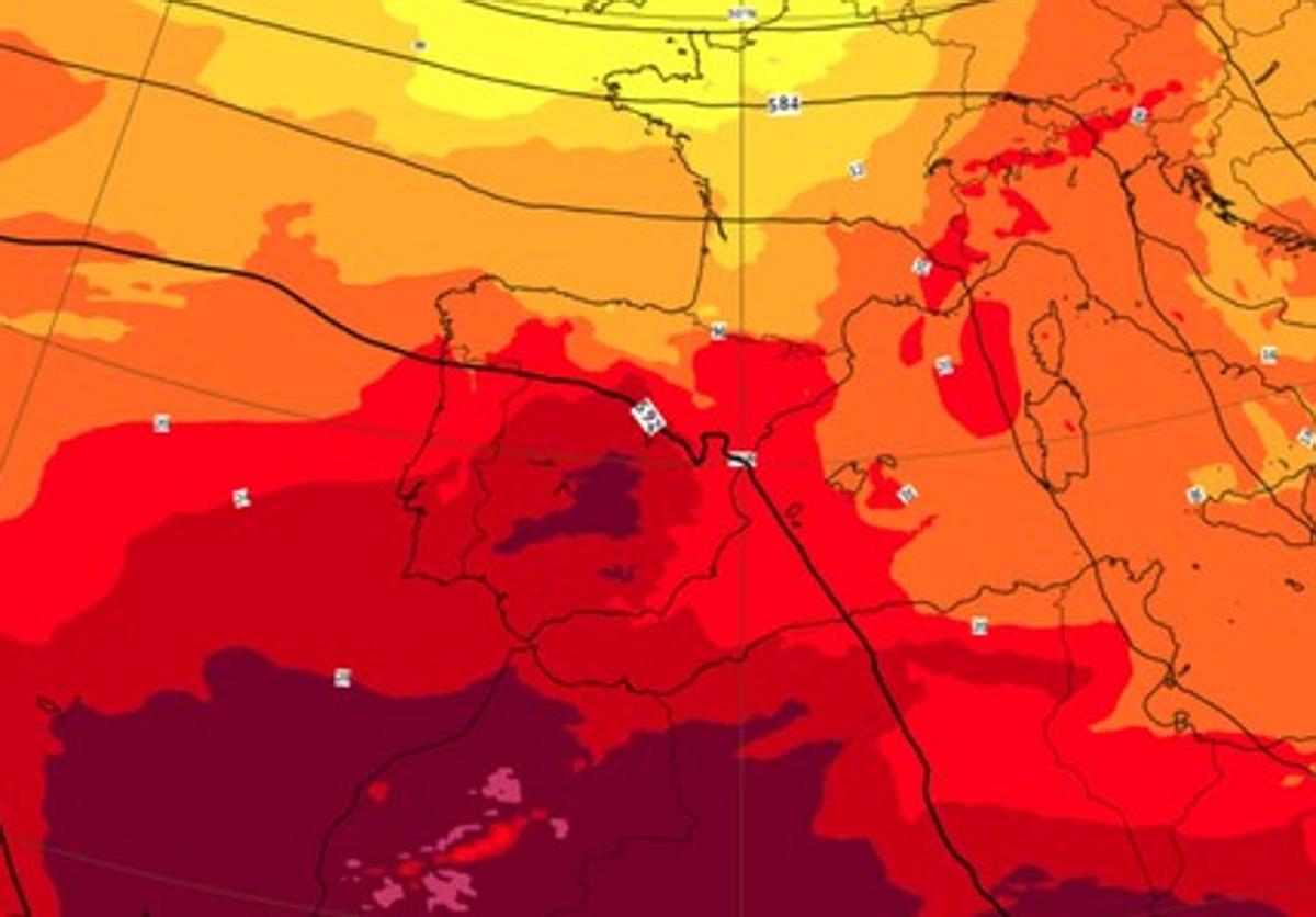 Calores