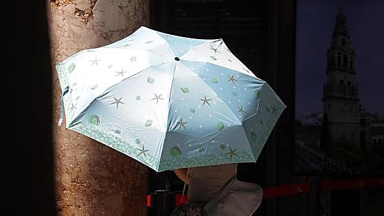 Las recientes olas de calor extremo sólo son explicables por el cambio climático