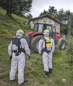 Imagen secundaria 2 - Hallan 25 vacas muertas en una cabaña de Cantabria