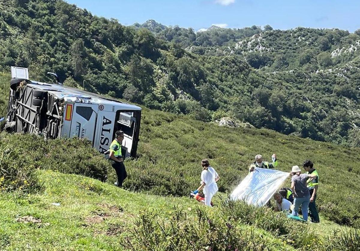 Imagen del autobús accidentado.