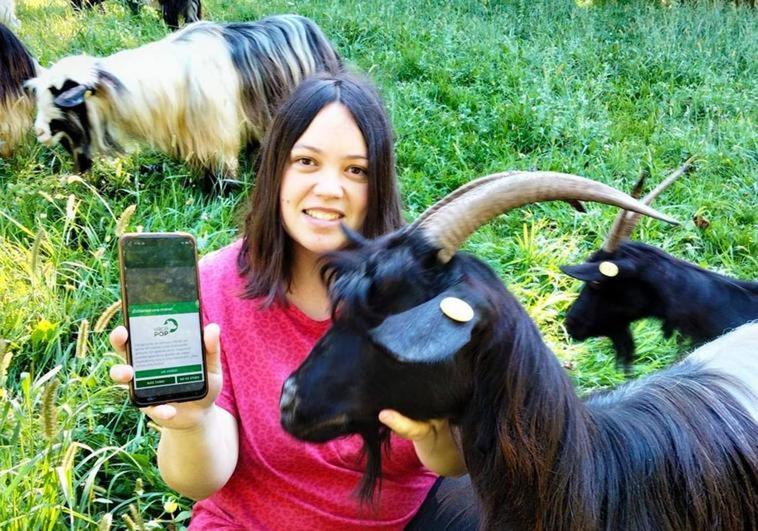 'Vacapop', la app que arrasa entre los ganaderos