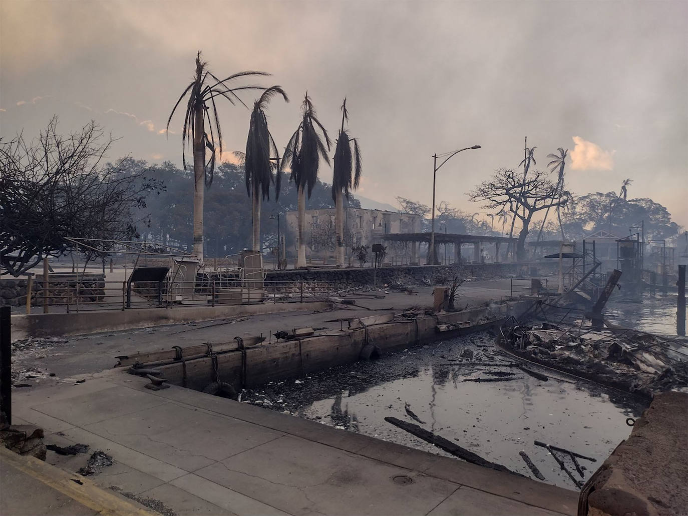 Los incendios arrasan Hawái