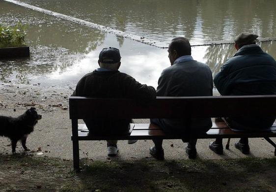 Un grupo de jubilados en un parque.