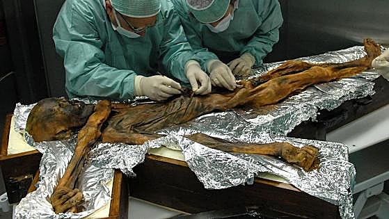 Ötzi, el hombre de hielo de los Alpes, no era tan blanco y además se le caía el pelo