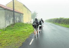 La niebla, espesa y grumosa como un puré de patatas de bolsa, hace que apenas se distinga el perfil de los árboles.