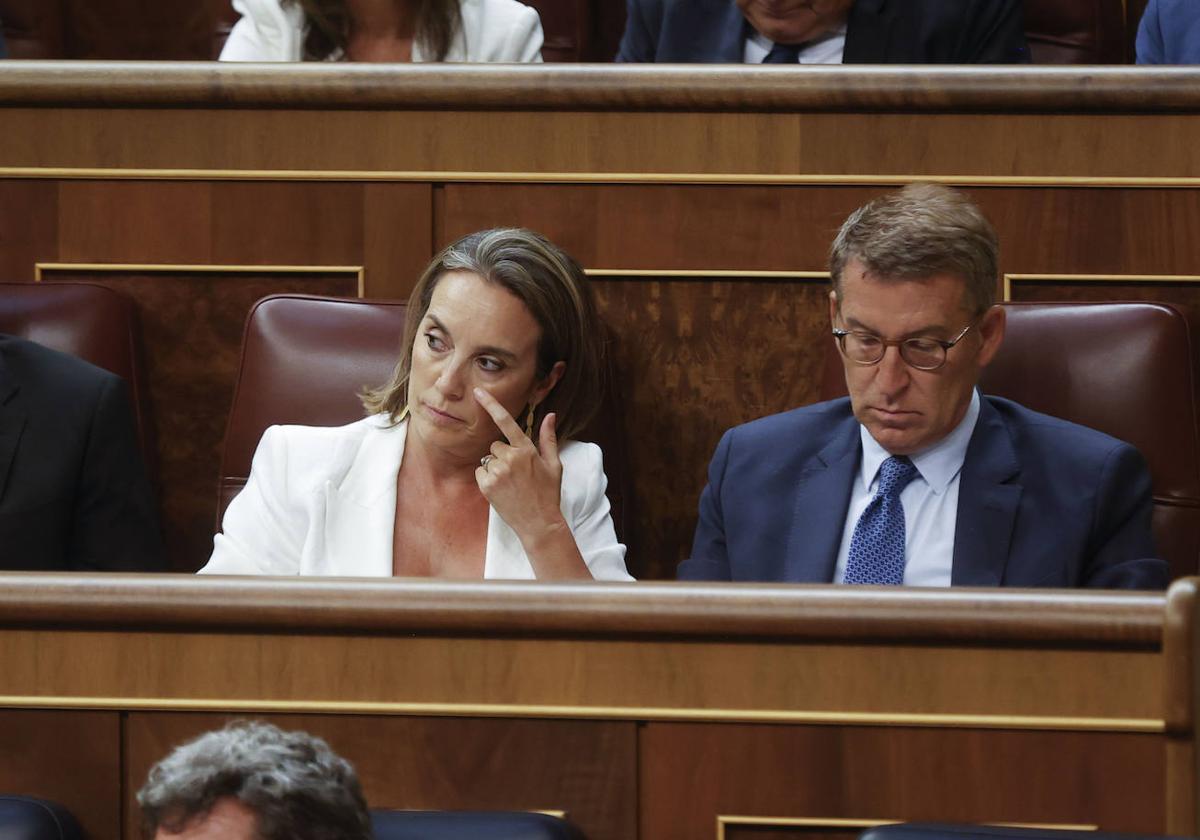 Cuca Gamarra y Alberto Núñez Feijóo, el pasado jueves en el Congreso.