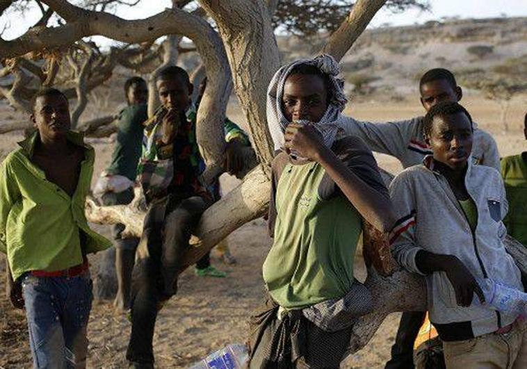 La guardia fronteriza saudí asesinó a cientos de migrantes africanos, según Human Rights Watch