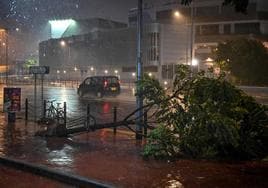 El supertifón 'Saola' ha arrancado árboles de cuajo a su paso por Hong Kong