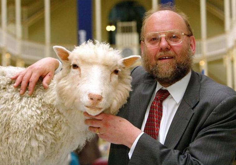 Muere Ian Wilmot, uno de los creadores de la oveja 'Dolly'