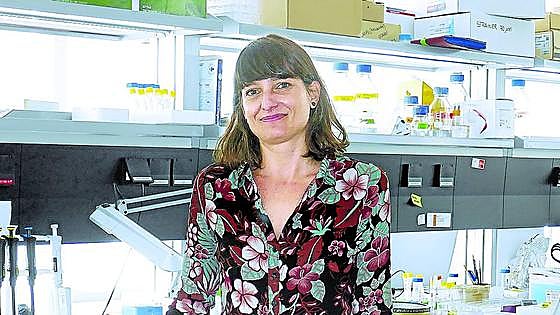 «Los adolescentes rendirían más entrando más tarde a clase»