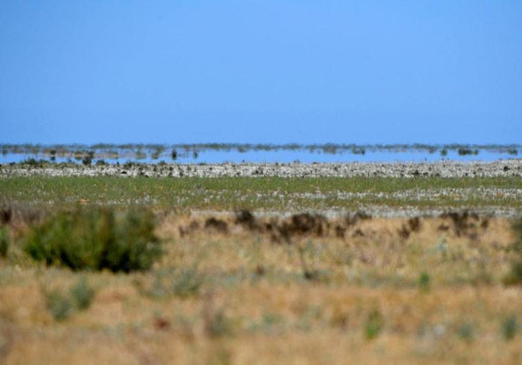 La Fiscalía investiga las extracciones irregulares de agua en el entorno de Doñana