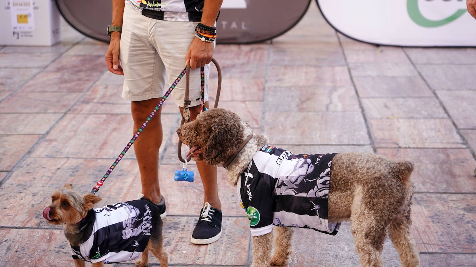 puedes vender cachorros a una tienda de mascotas