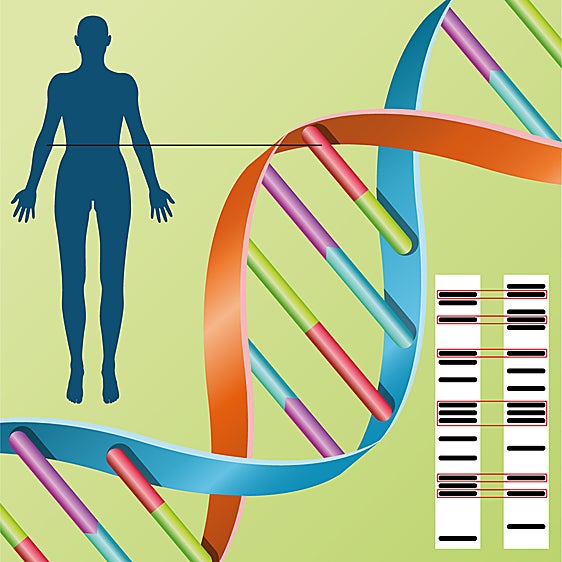 El turno del ADN: la clave para identificar a las víctimas del incendio en Murcia