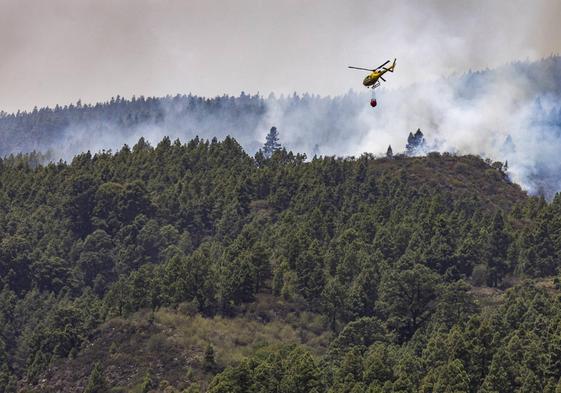 Labores de extinción del incendio declarado a mediados de agosto en la isla de Tenerife, que arrasó alrededor de 15.000 hectáreas.