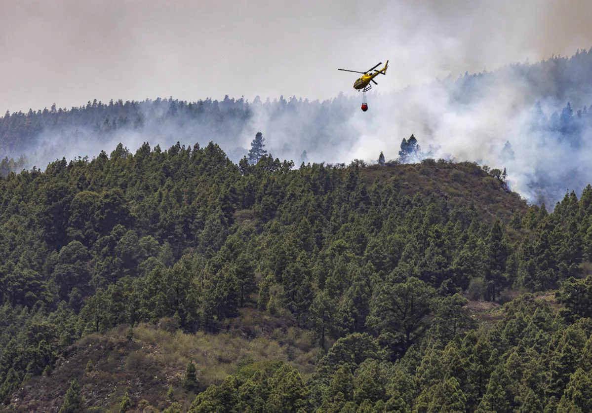 El Incendio Reactivado De Tenerife Sigue En Nivel 2 Y Con Más De 3.000 ...