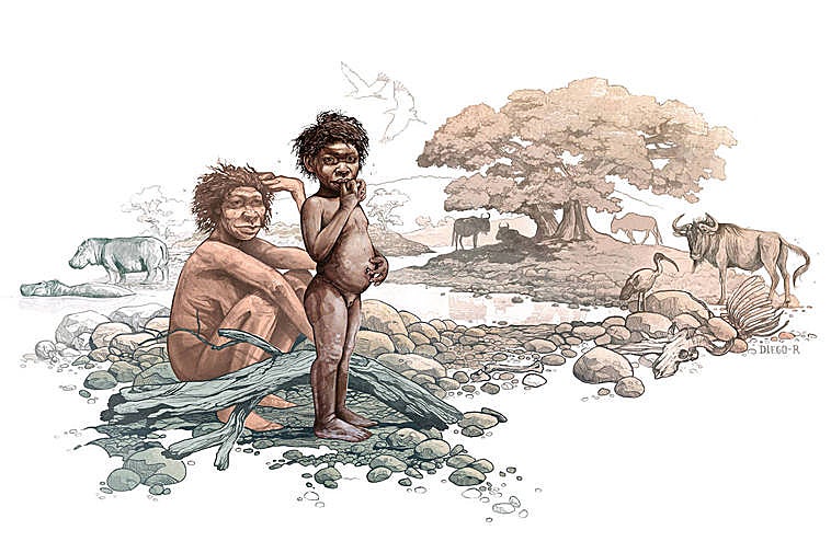La 'Homo erectus' más antigua conocida vivió en Etiopía
