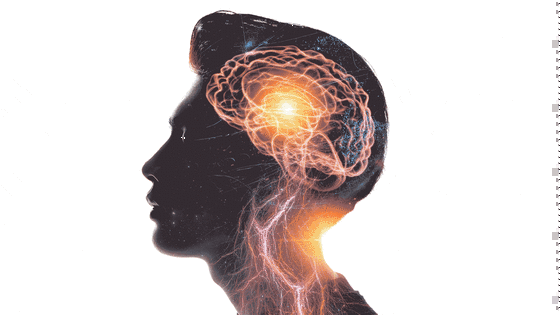 ¿Cómo de diferentes somos de los monos, cuál es el origen del trastorno obsesivo compulsivo? Ya se sabe gracias al más completo atlas del cerebro
