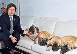 Los cinco perros clonados de Javier Milei