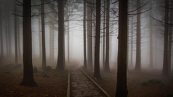 Disfruta de la spooky season con las mejores novelas para leer este Halloween