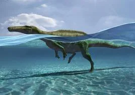 Reconstrucción de uno de los dinosaurios atravesando una masa de agua.