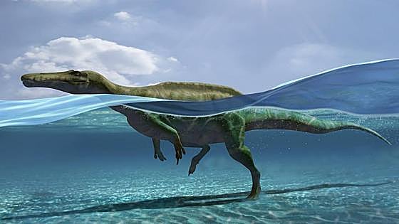 Unas huellas halladas en La Rioja revelan cómo nadaban algunos dinosaurios