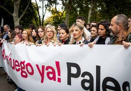 Manifestación unitaria por Palestina bajo el lema «No a la barbarie. No a la guerra. Alto el fuego»