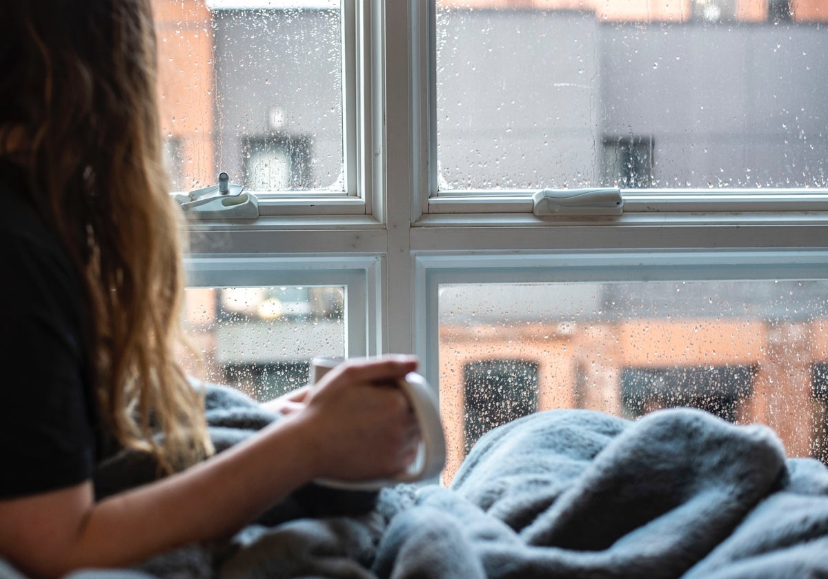 ¿Harto de pasar frío en casa? Te traemos los mejores calefactores