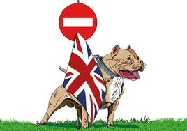 Así es el American Bully, el perro que acaba de prohibir Reino Unido por su extrema peligrosidad