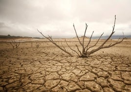 Unicef alerta que uno de cada 3 niños está expuesto a una grave escasez de agua