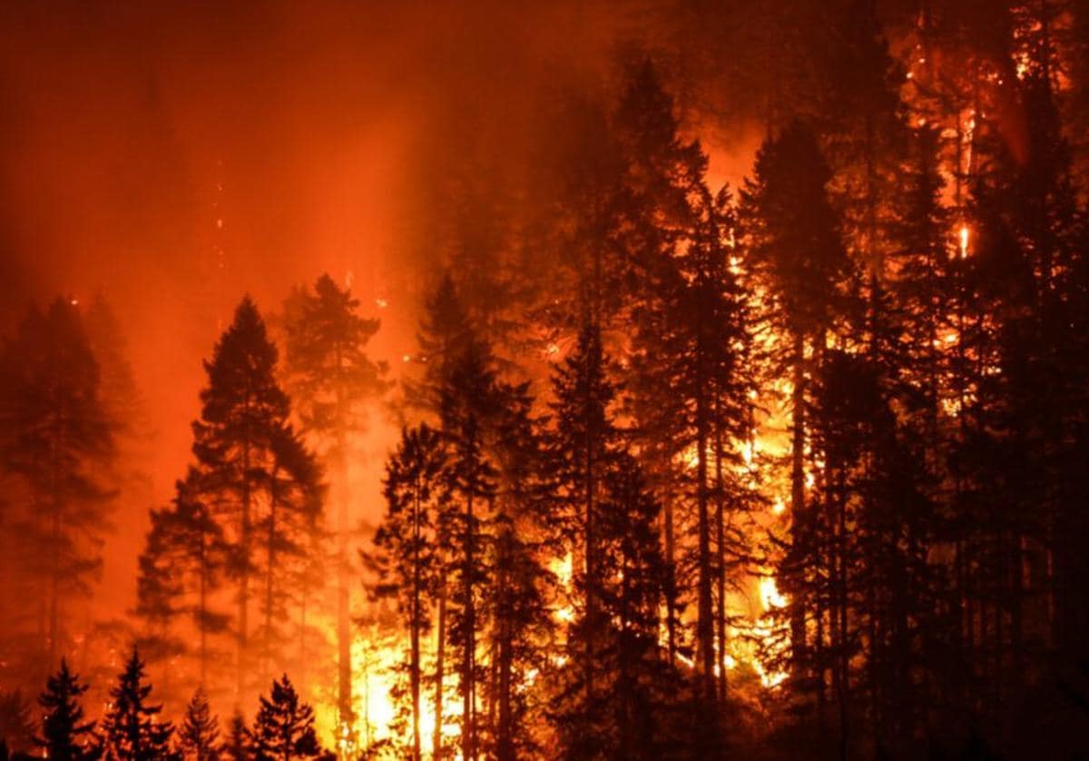 Incendios bosques.