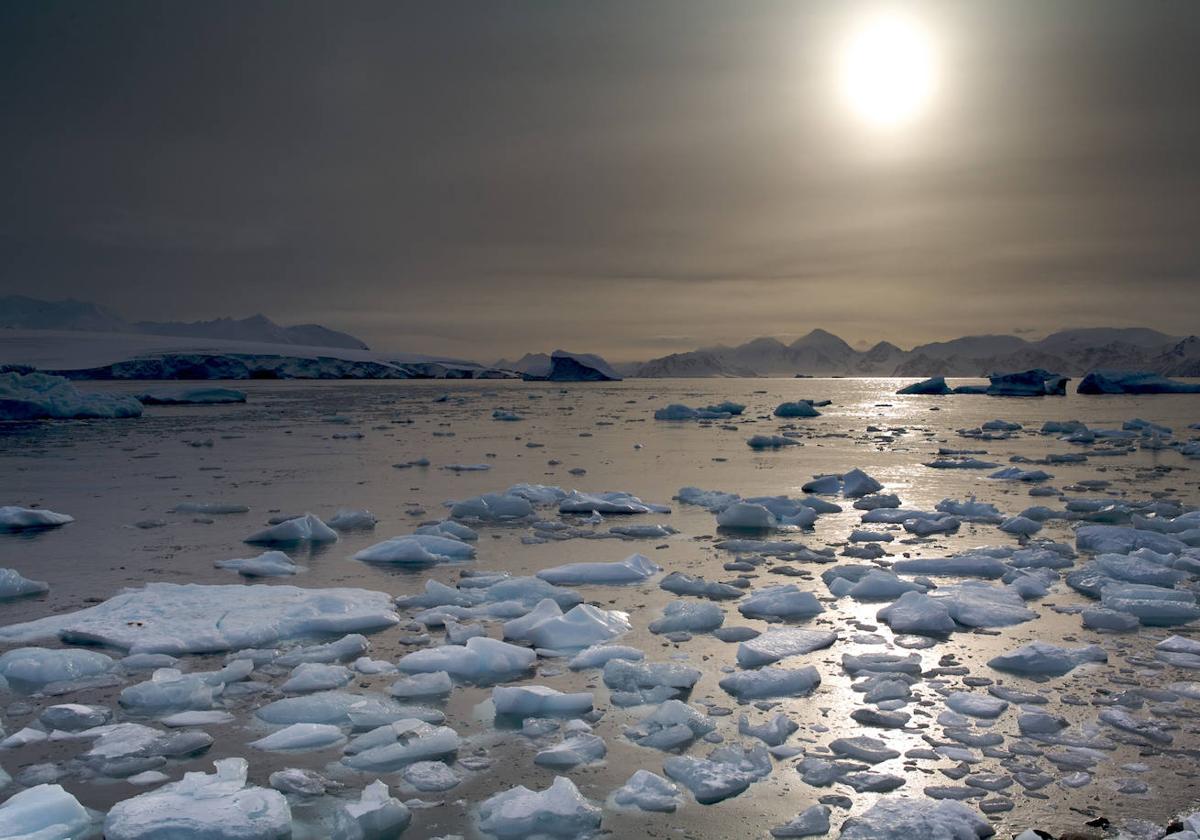 El hielo en la Antártida ha disminuido como nunca antes desde que se tienen registros.