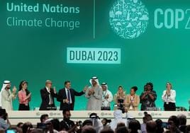 COP28 en Dubái.