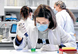 Científicas realizan ensayos en un laboratorio del Instituto de Biología y Genética Molecular, asociado al CSIC.