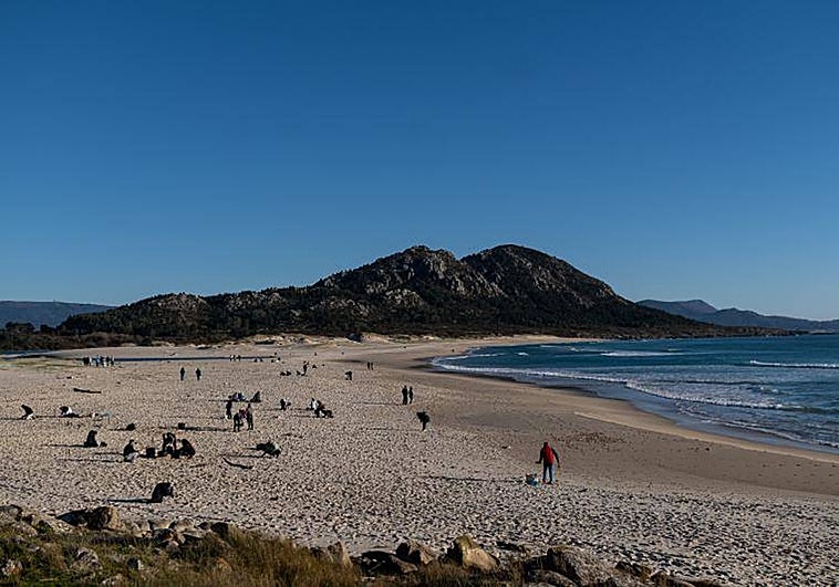 Volunteers help collect the microplastics from Galician beaches.