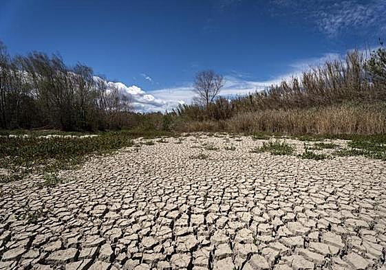El río Muga a su paso por Peralada, en Girona.