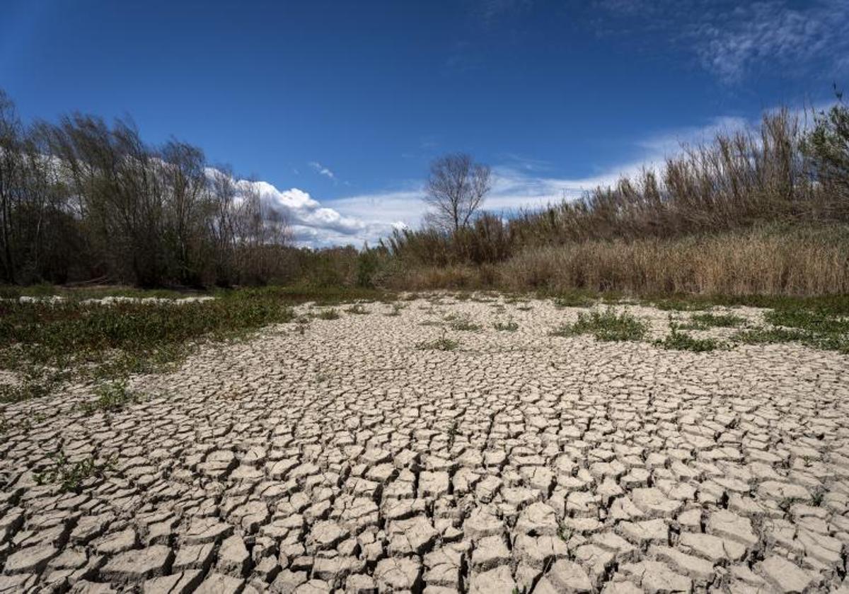 Catalonia, prepared to enter the emergency phase due to drought on February 1