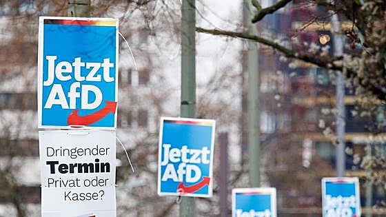 Alternativa para Alemania se mantiene al alza pese a sus planes para deportar extranjeros