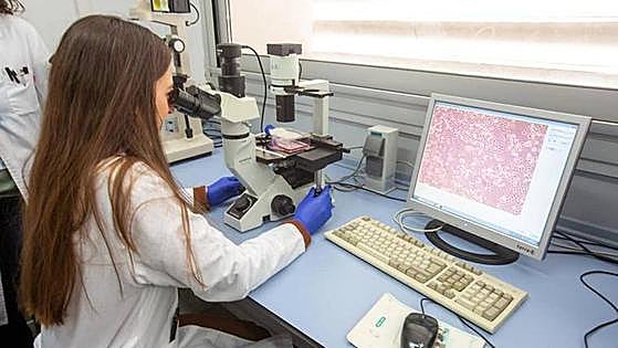 España, entre los diez países europeos con más patentes de investigación del cáncer