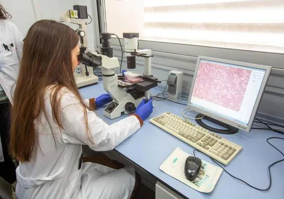 Una investigadora de cáncer de colon trabaja en el laboratorio.