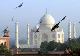 Varias palomas vuelan en el entorno del turístico Taj Mahal en India.